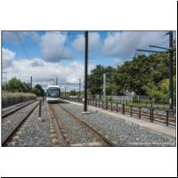 2017-09-05 T1 Ranzay 365 01.jpg